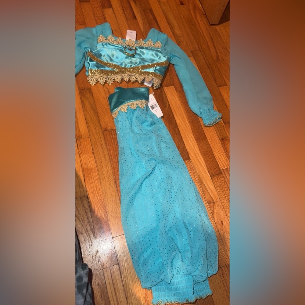 Jasmin Costume